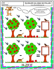 Ağaşlardaki elmaların toplamı kaç eder